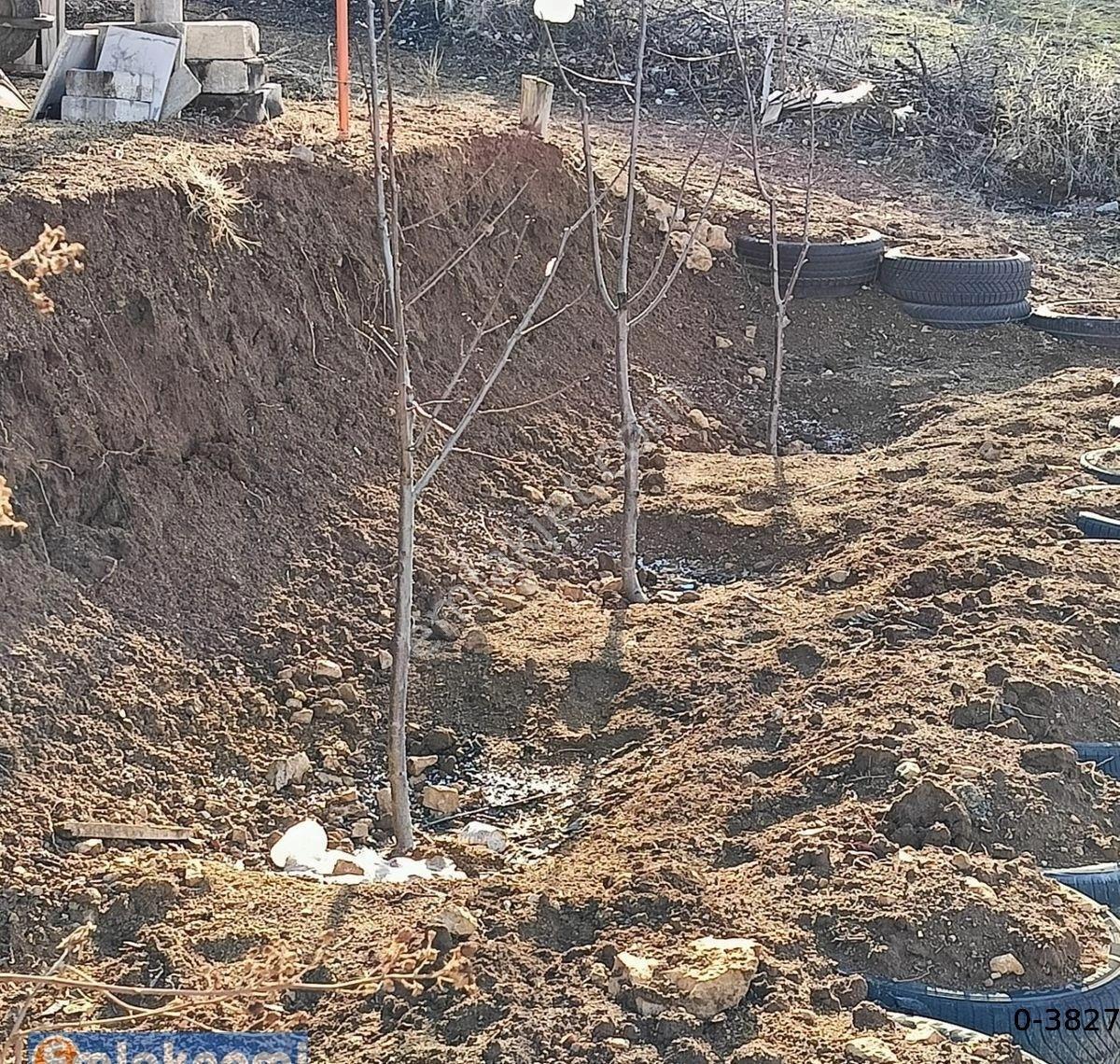 Emlaknomi Den (karaman Yollarbaşı Köyünde Güzel Konumda Satılık Bahçe) - Görsel 20