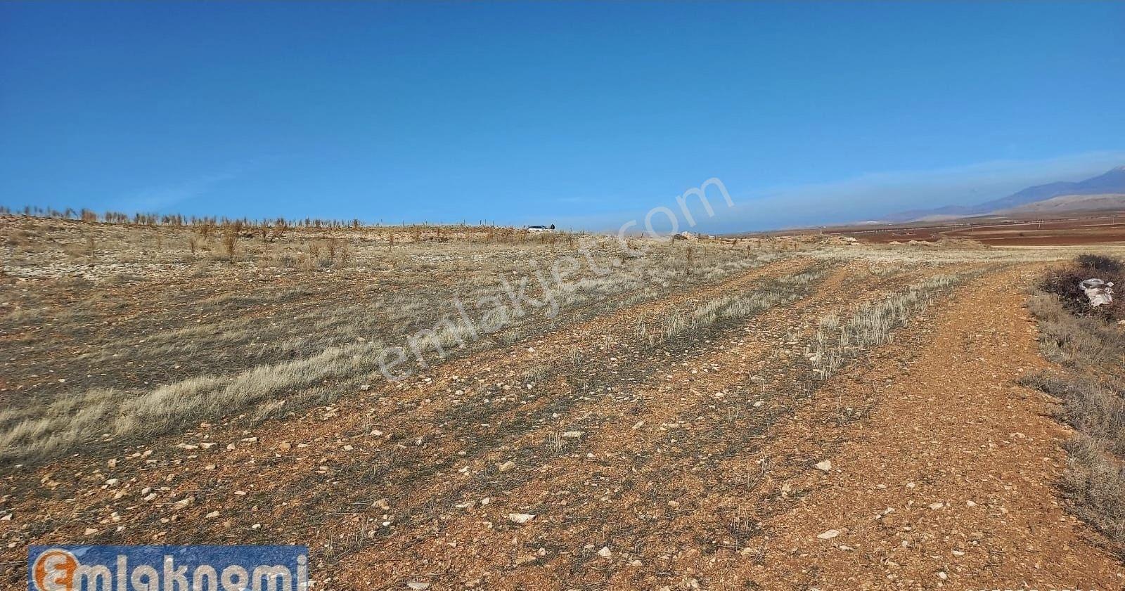 Konya Yoluna 3 Km Uzaklıkta 6.5 Dönüm Tarla - Görsel 9