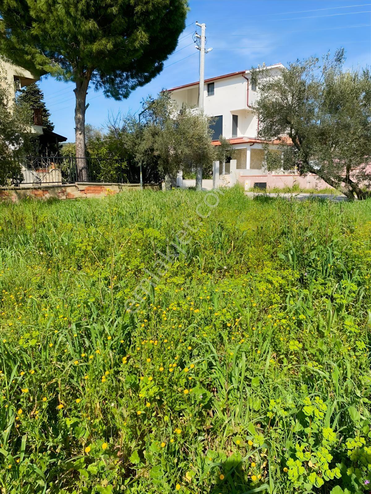 Urla Torasan Mahallesi' Nde Satılık İmarlı Arsa - Görsel 11