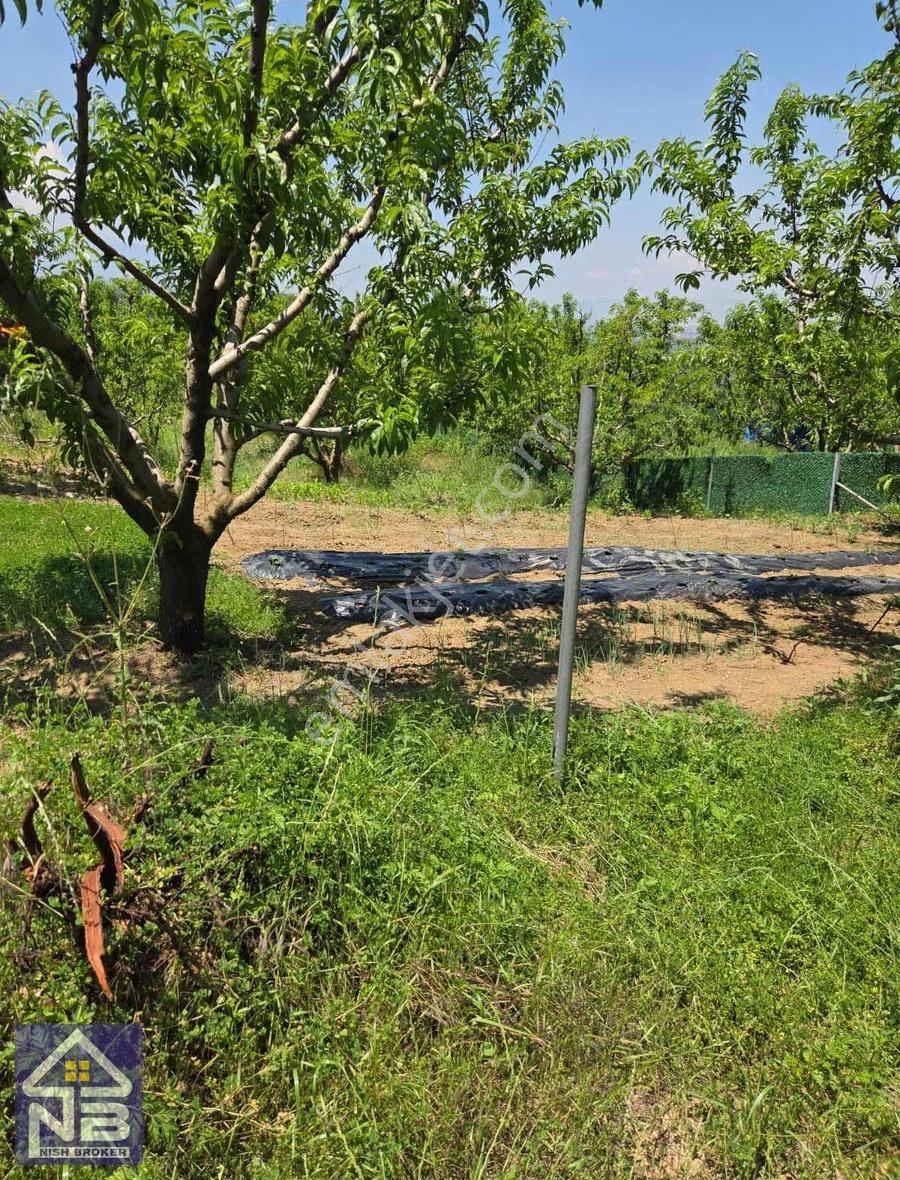 Atmaca Vadisi İnegöl Manzaralı 250m2 Bahçeler - Görsel 2