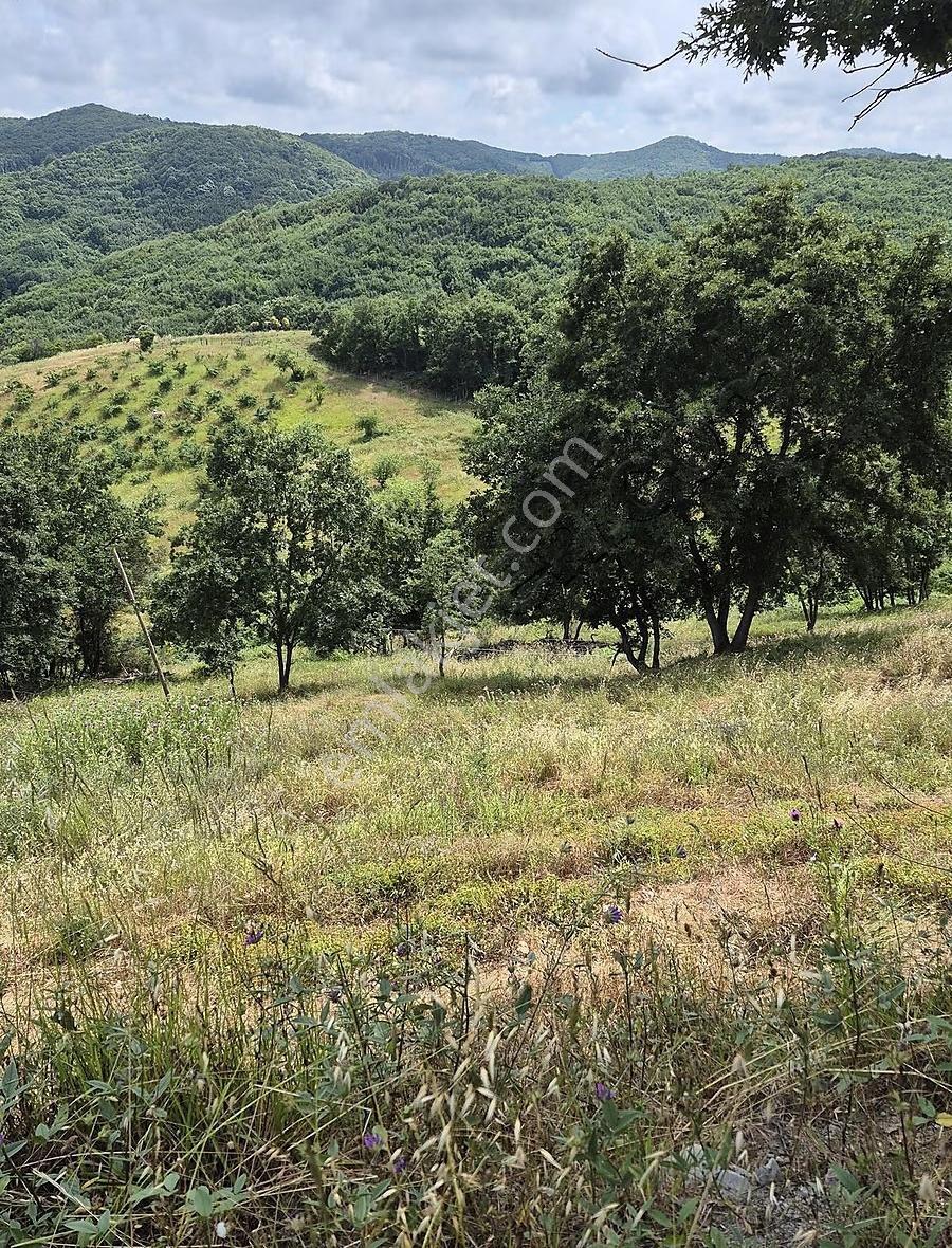 Şile Şuayip'li Köyünde Satılık Turizm İmarlı Arazi