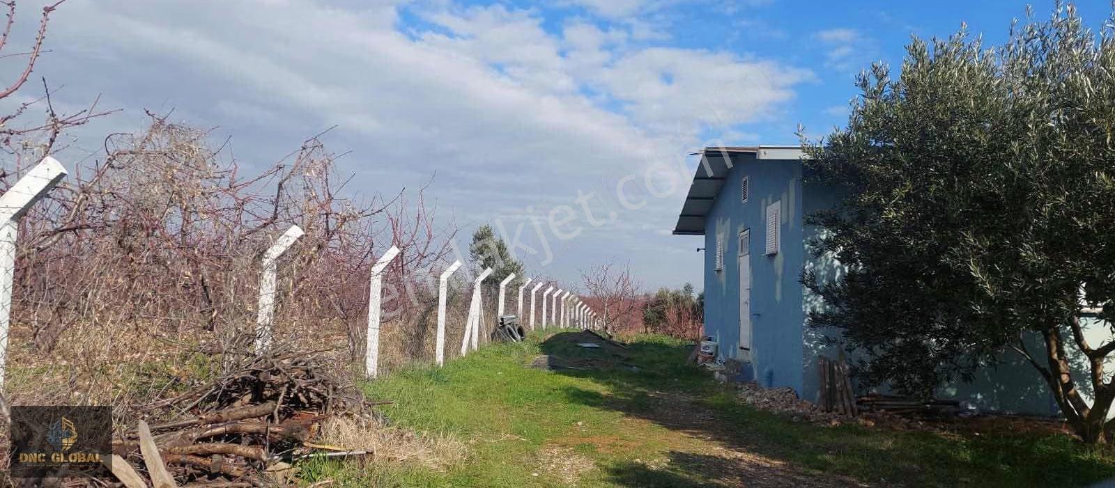 Manisa Sancaklıiğdecik 4 Dönüm Evi İçinde Arazi - Görsel 9