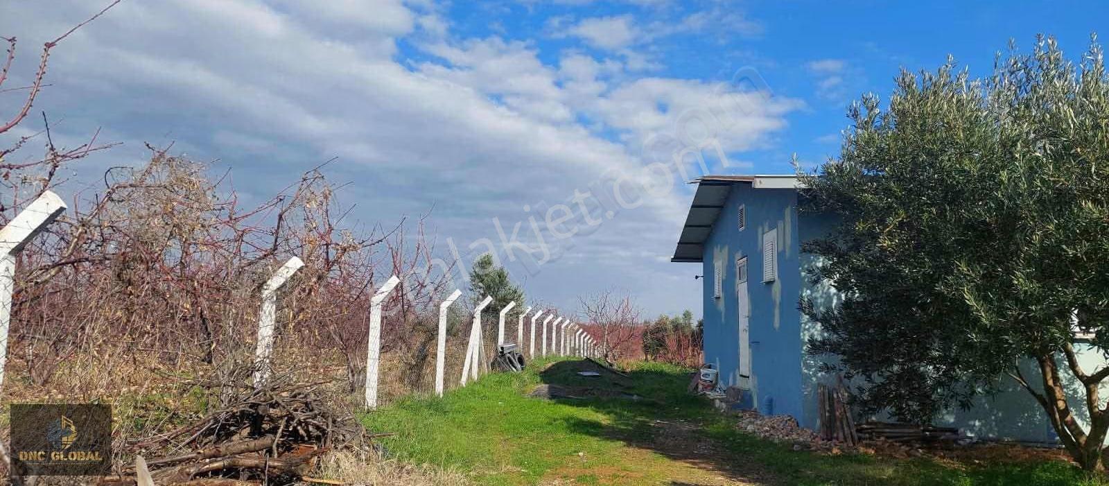 Manisa Sancaklıiğdecik 4 Dönüm Evi İçinde Arazi - Görsel 13