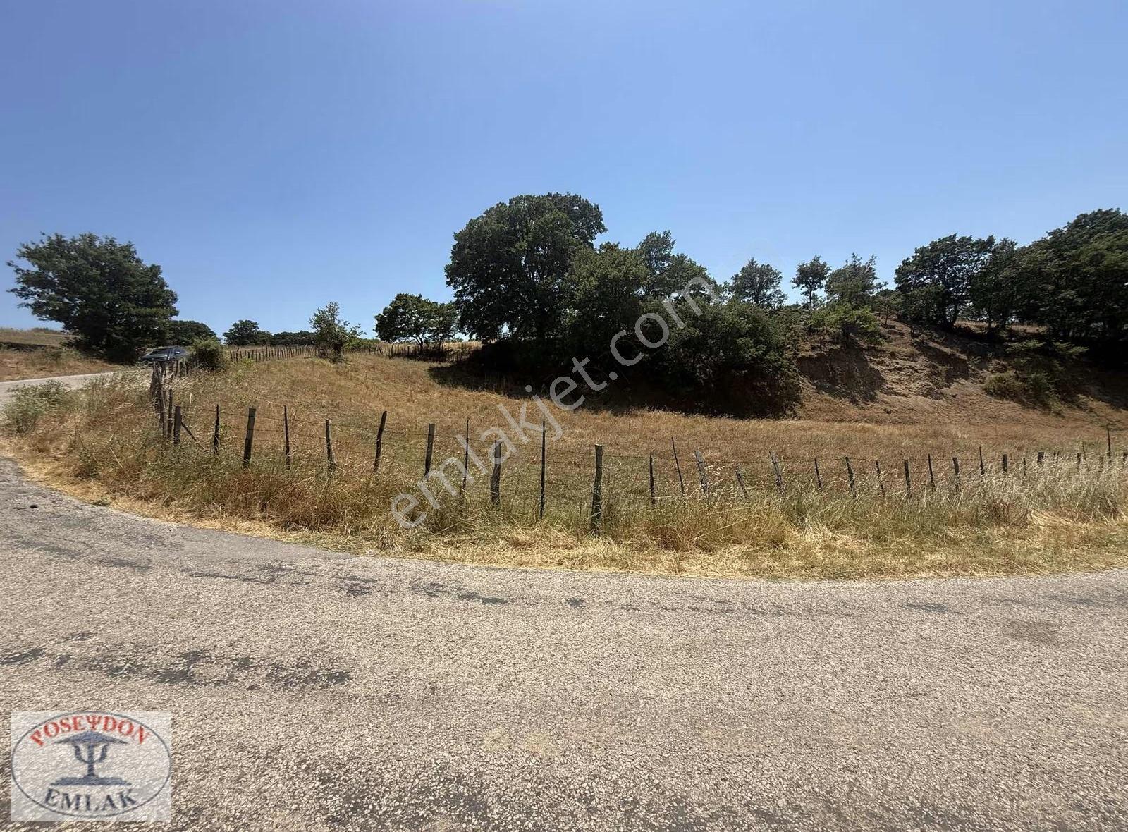 Bayramiç Yukarışapçıda Asfalt Cephe 2.265 M² Çitle Çevrili - Görsel 6