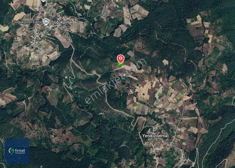 Mustafakemalpaşa Yenikızılelma Satılık 4100 M2 Tarla - Görsel 2