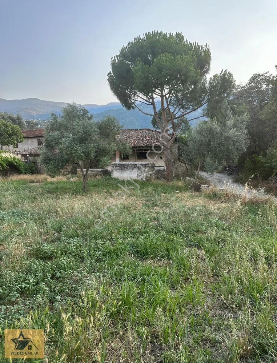 Aydın Bozdoğan Yenice Mah Satılık Tarla - Görsel 3