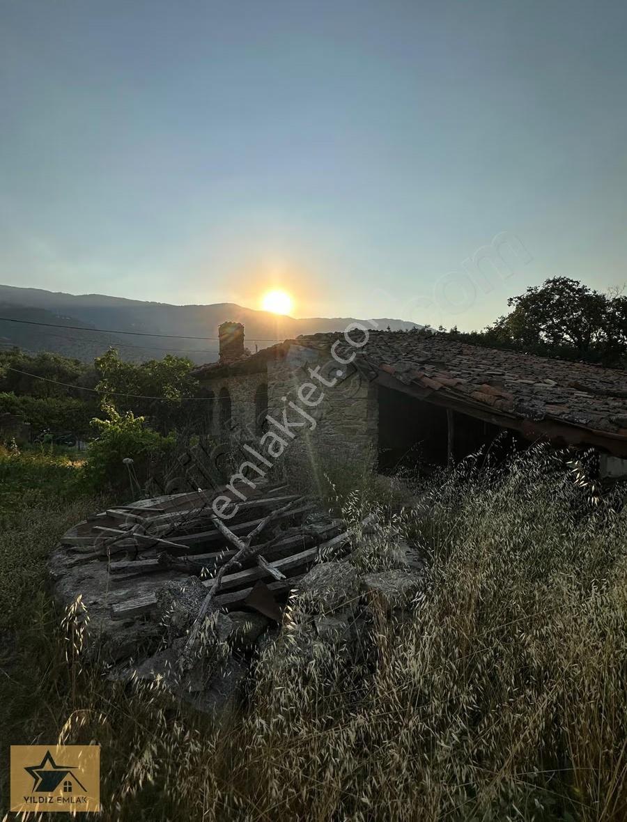 Aydın Bozdoğan Yenice Mah Satılık Tarla - Görsel 10