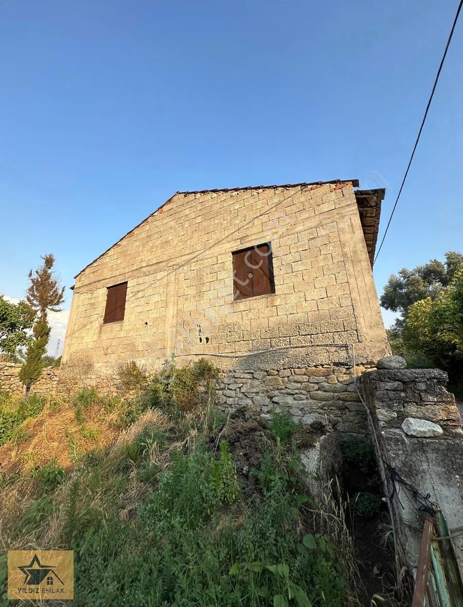 Aydın Bozdoğan Yenice Mah Satılık Tarla