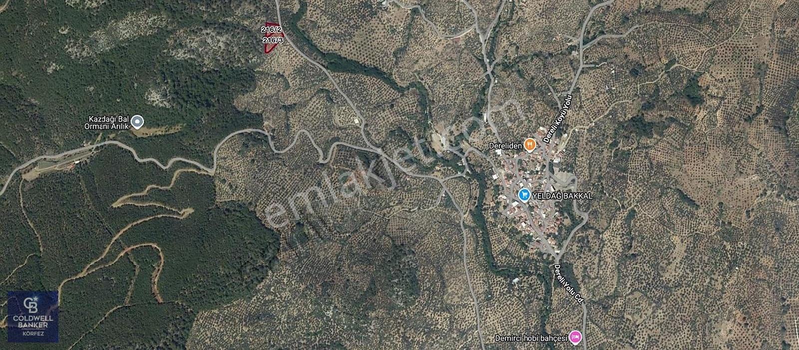 Dereli Köyünde 3.600 M² Yapı Kayıt Belgeli Satılık Zeytinlik