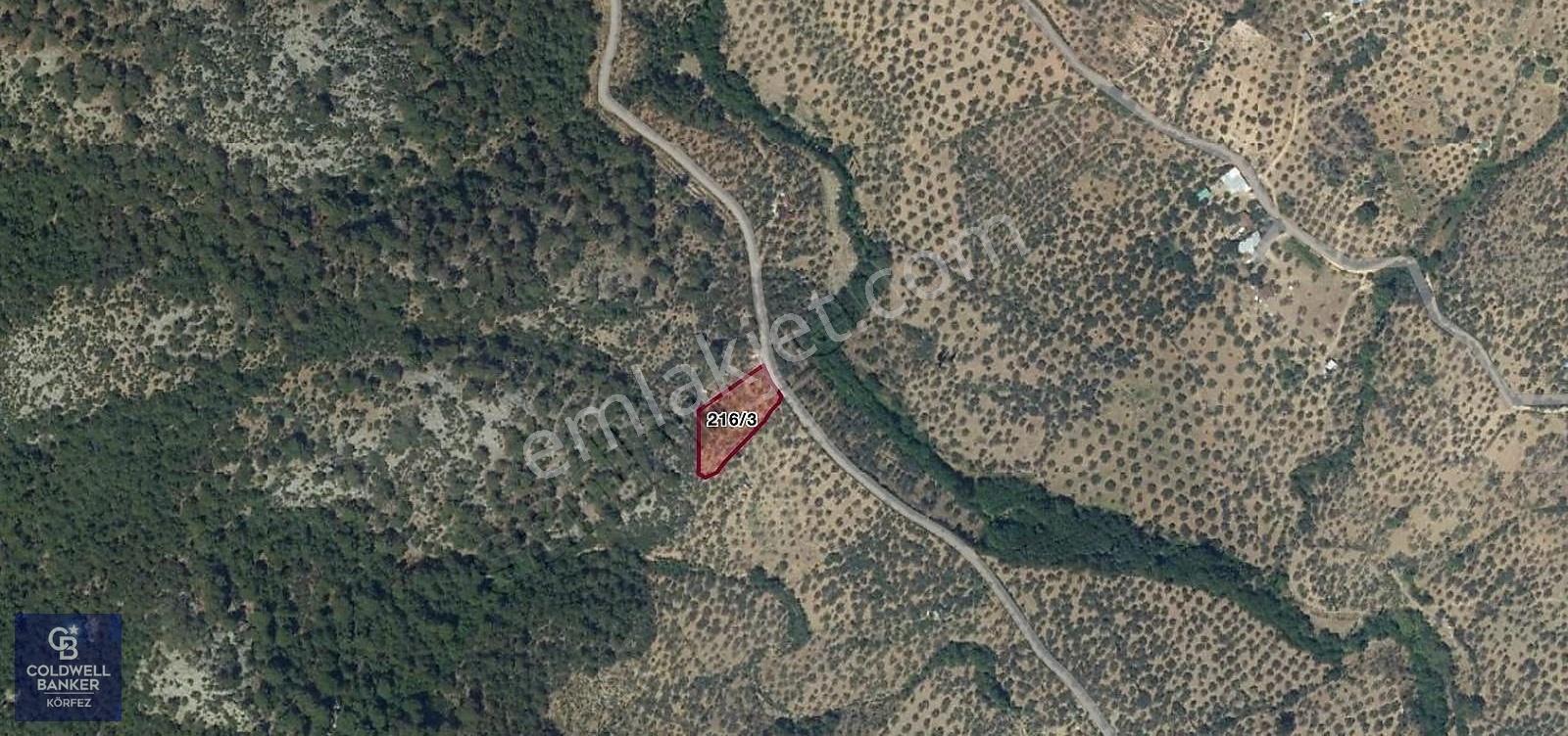 Dereli Köyünde 3.600 M² Yapı Kayıt Belgeli Satılık Zeytinlik - Görsel 4