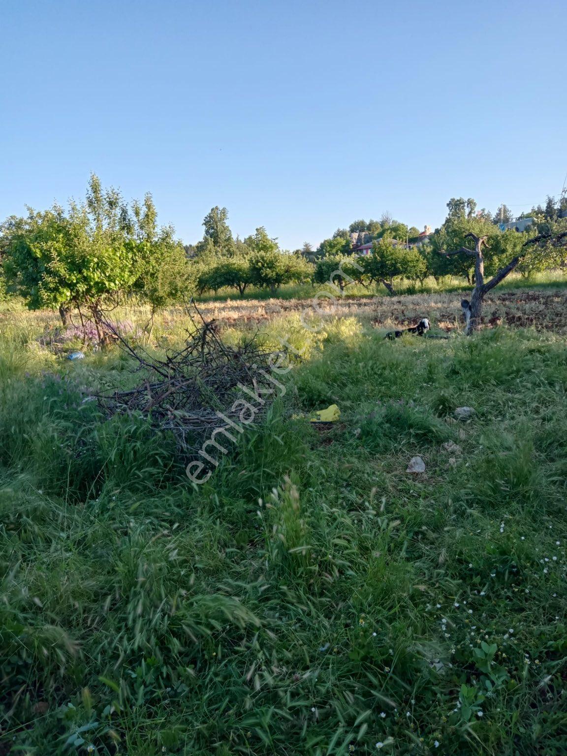Beykent Gayrimenkulden Müstakil Ev İle Arsa - Görsel 7