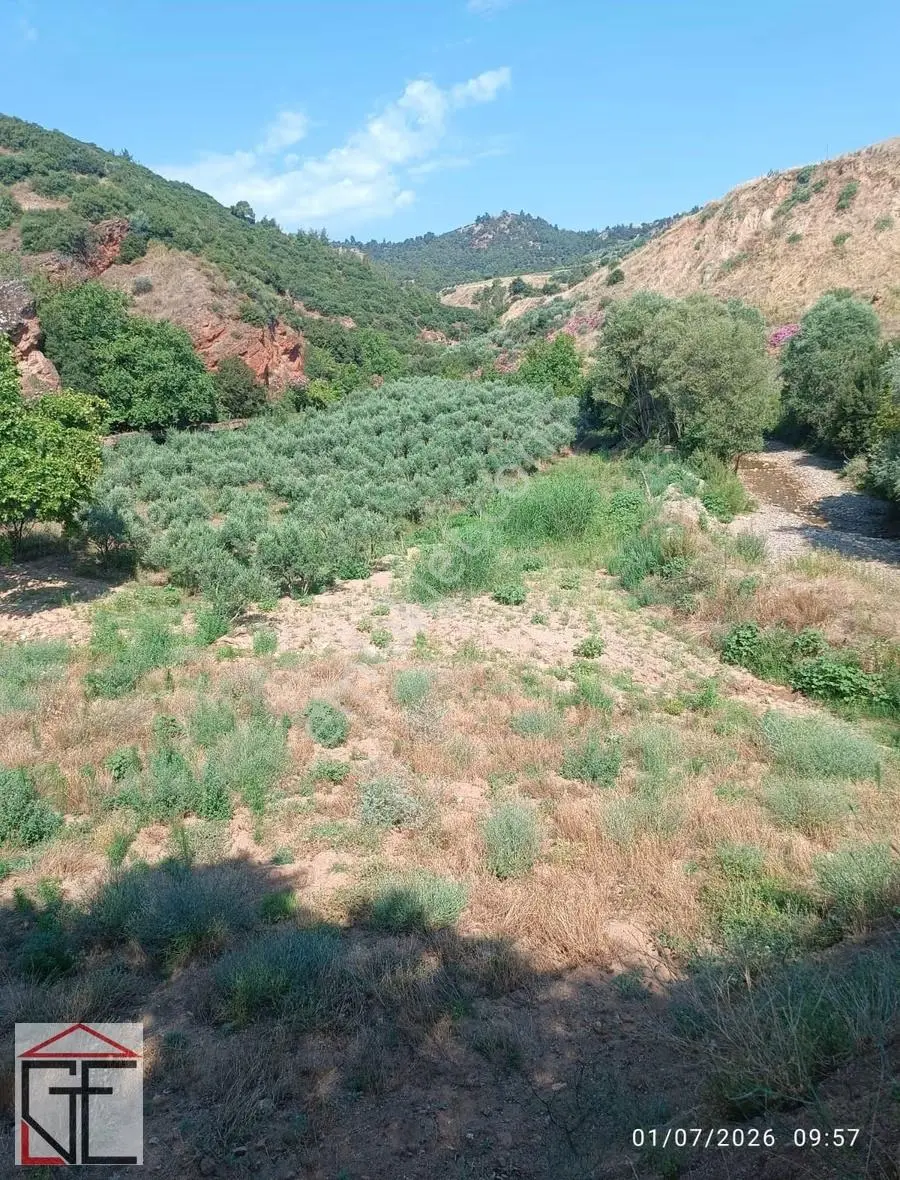 Badınca Mahallesinde Kepez Mevki Satılık Zeytinlik