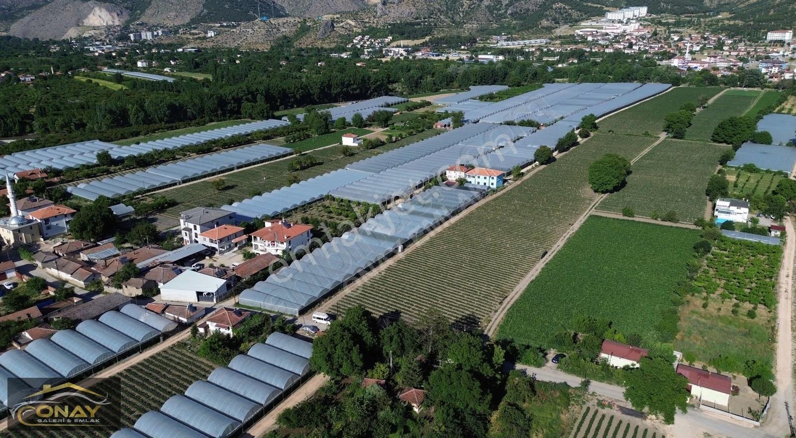 Onay Emlak'tan Yazı Bağlarında 25 Dönüm Satılık Arsa - Görsel 10