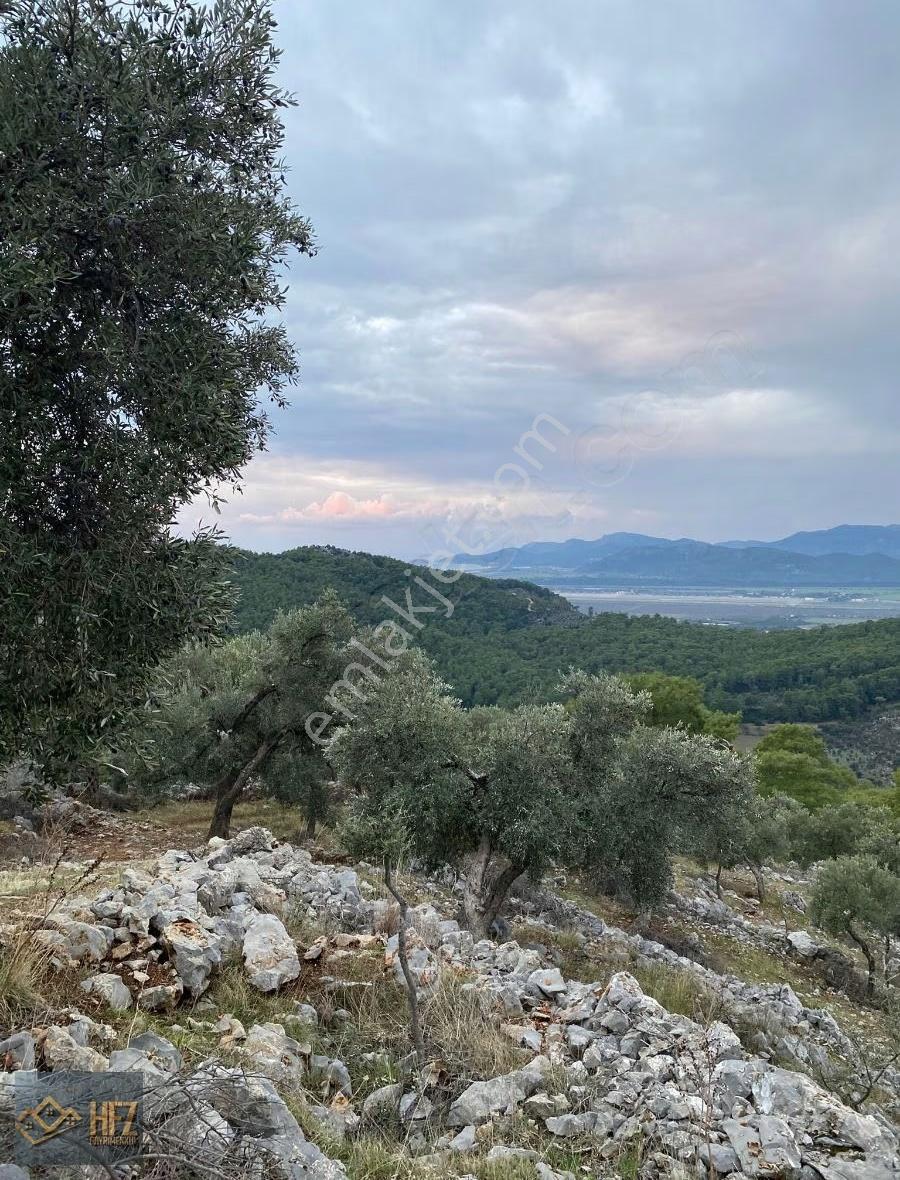 Dalaman Şerefler Mah 4,513m2 Arazimiz Satılık - Görsel 3