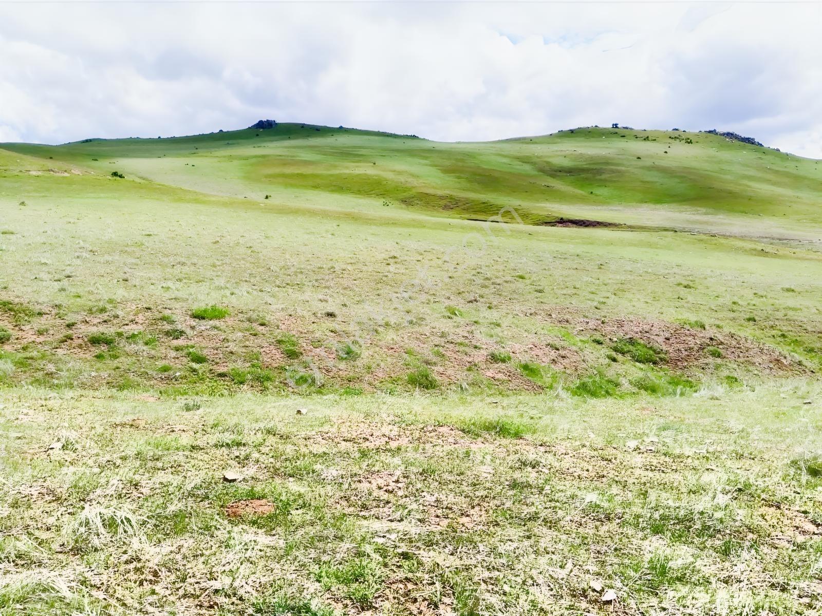 C21 Anadolplus- Şehir Hastanesi Arkasında Yatırımlık 2adet Tarla - Görsel 6