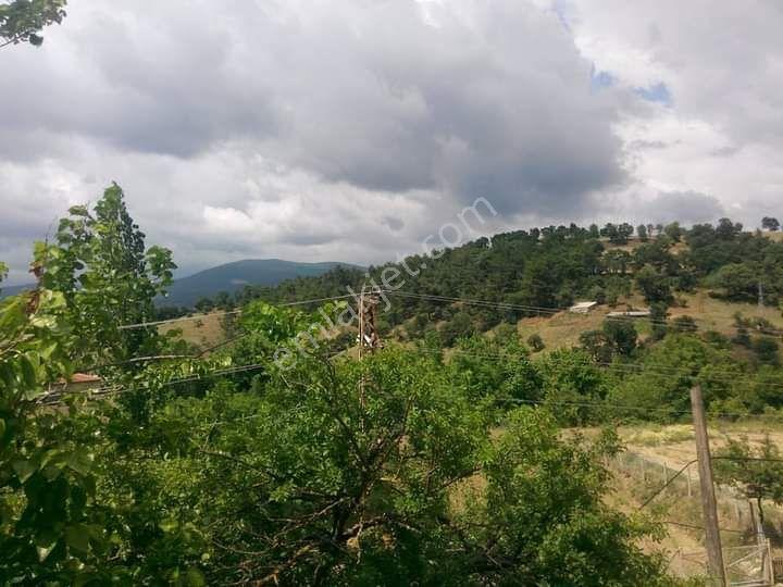 Çanakkale Yenice Arsa Tapu Sahibi Perta Emlak Ümit Tahmaz - Görsel 23