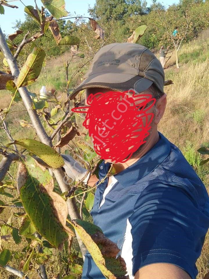 Çanakkale Yenice Arsa Tapu Sahibi Perta Emlak Ümit Tahmaz - Görsel 22