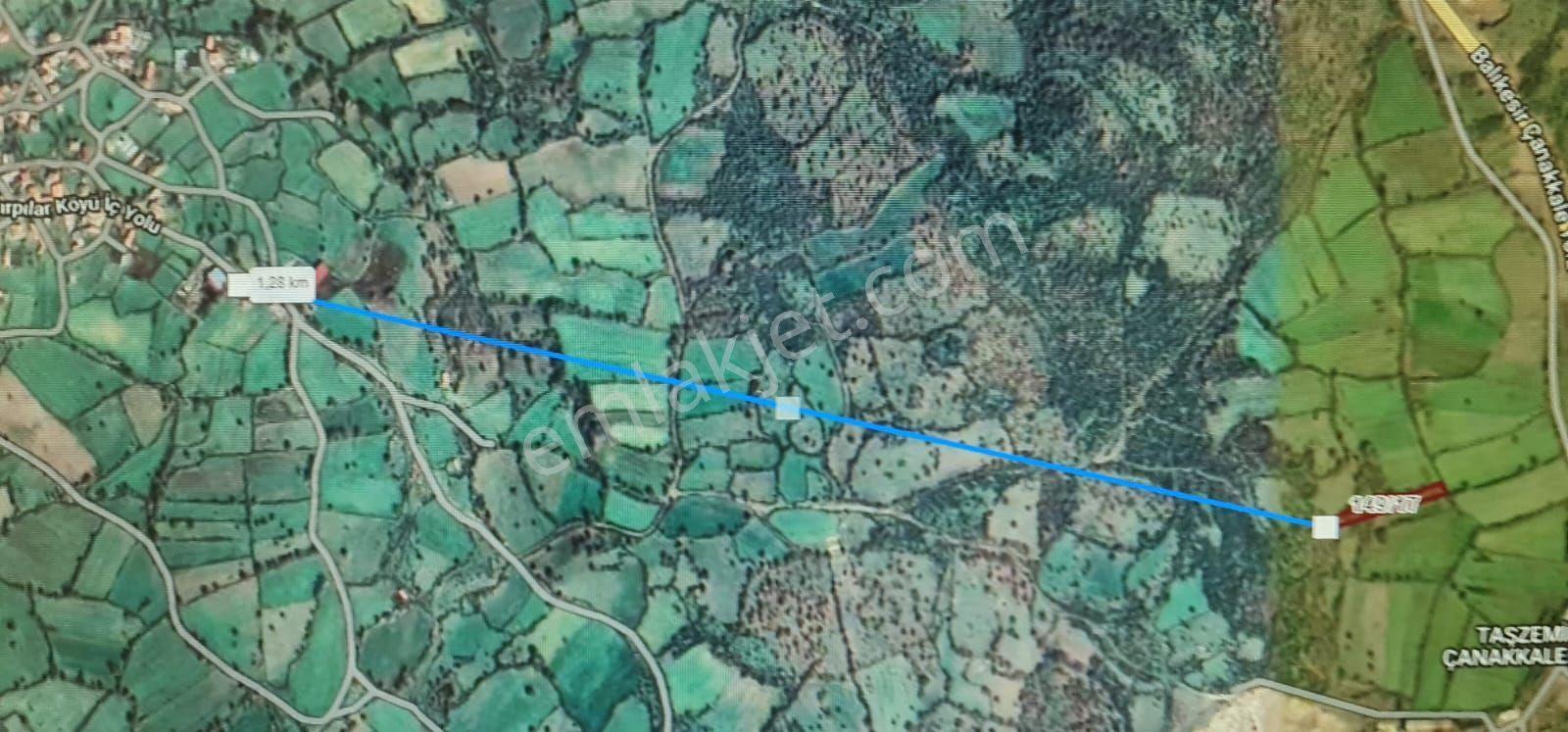 Çanakkale Yenice Arsa Tapu Sahibi Perta Emlak Ümit Tahmaz - Görsel 8