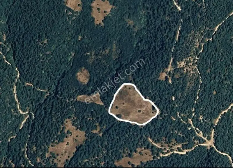 Yenice Araovacık'ta Köye Yakın, Ormana Cephe 14.650m² Tarla