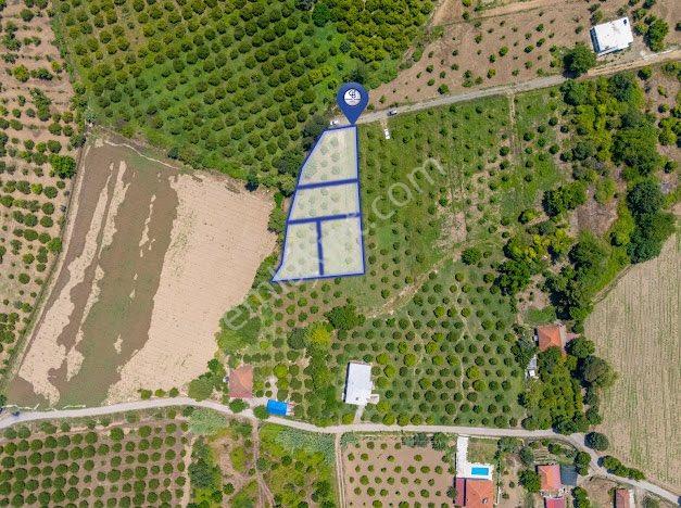 Muğla Köyceğiz De Parseller Halinde Satılık Tarla