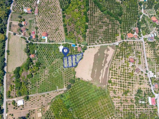 Muğla Köyceğiz De Parseller Halinde Satılık Tarla - Görsel 6