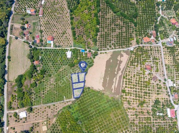 Muğla Köyceğiz De Parseller Halinde Satılık Tarla - Görsel 3