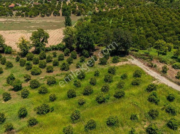 Muğla Köyceğiz De Parseller Halinde Satılık Tarla - Görsel 12