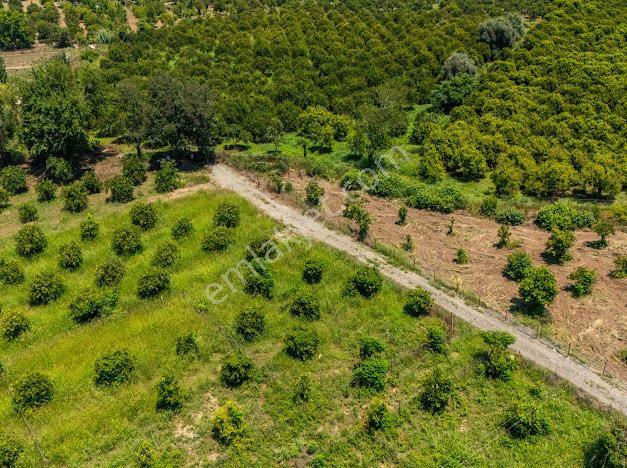 Muğla Köyceğiz De Parseller Halinde Satılık Tarla - Görsel 13