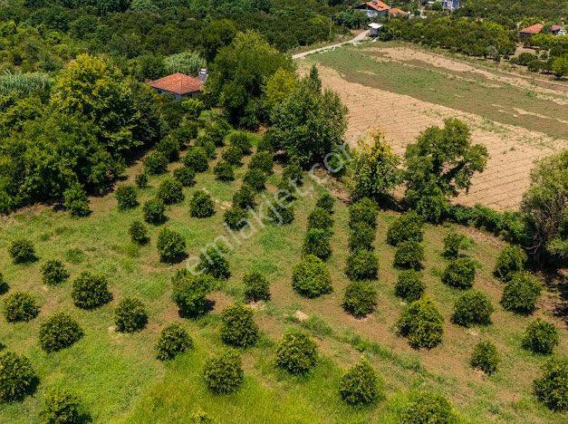 Muğla Köyceğiz De Parseller Halinde Satılık Tarla - Görsel 11