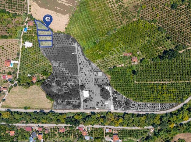 Muğla Köyceğiz De Parseller Halinde Satılık Tarla - Görsel 10
