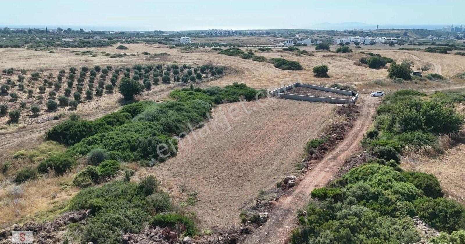 500 Mt Tam Mustakil Denize Yakın Villa Arsası - Görsel 4