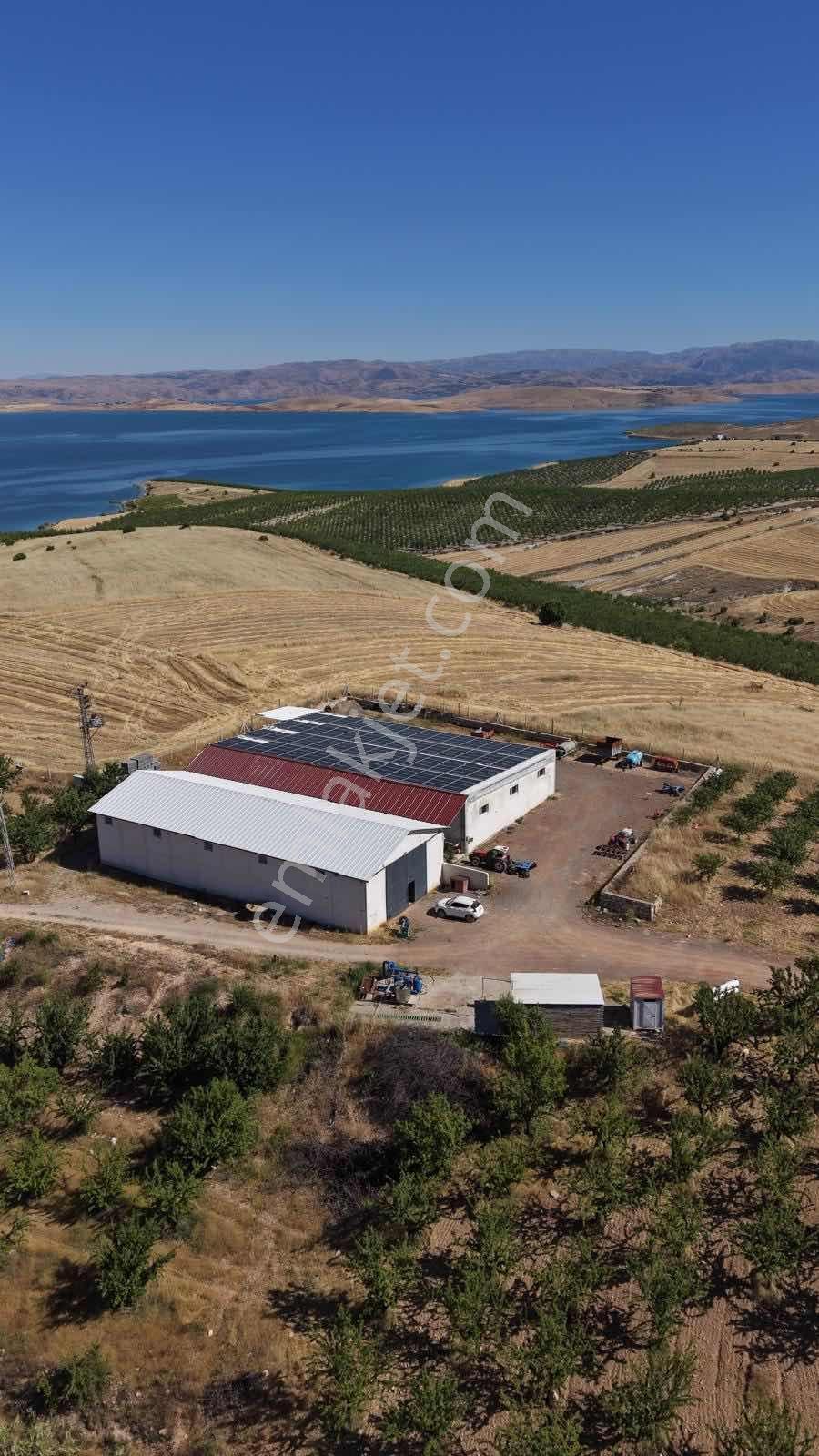 Badem Üretim Tesisi Ve Tarım Arazisi - Görsel 12