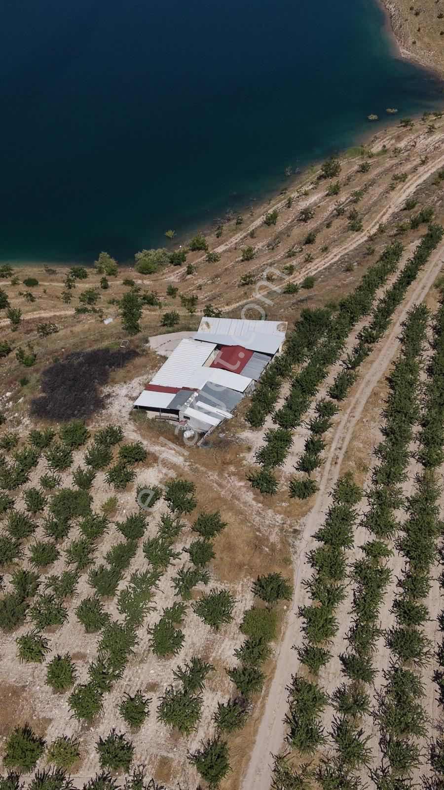 Badem Üretim Tesisi Ve Tarım Arazisi - Görsel 6