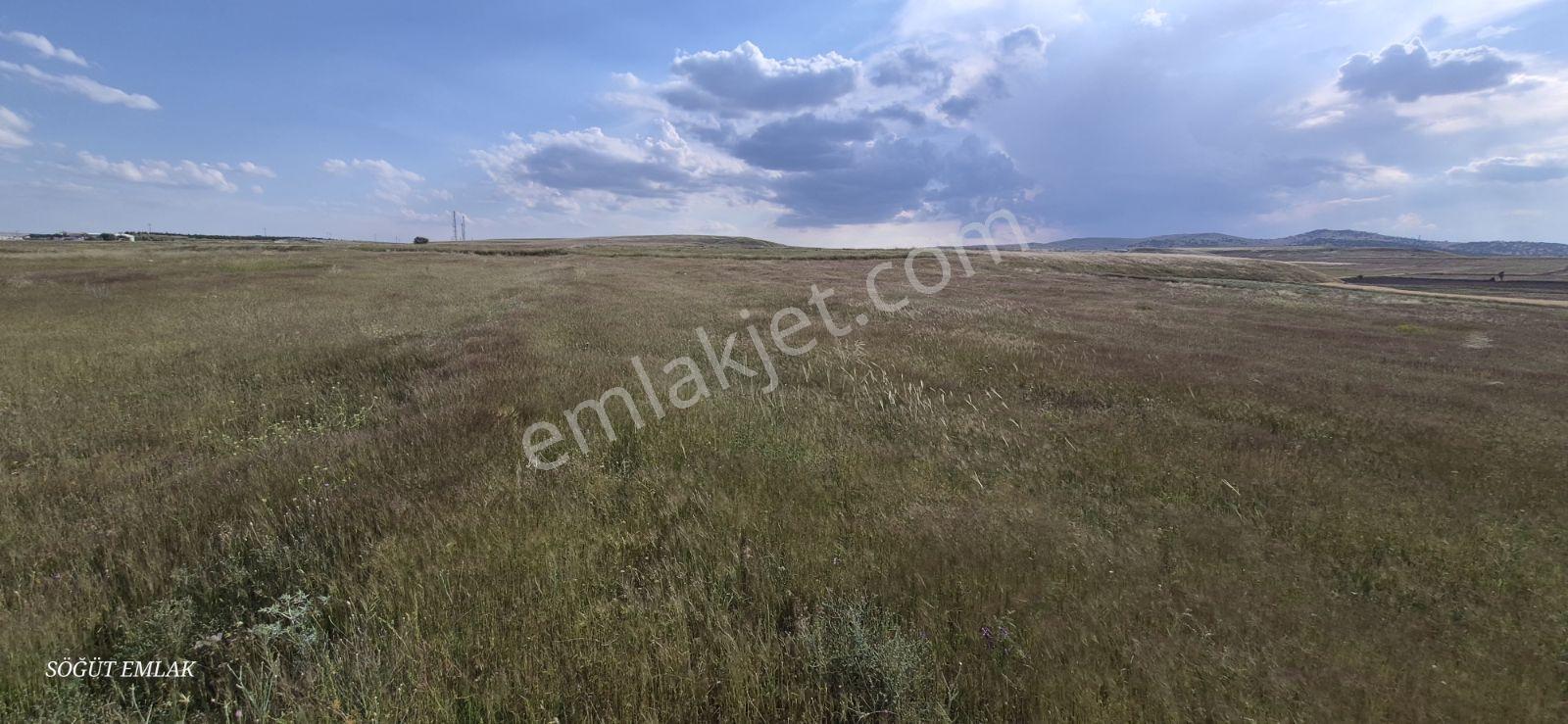 Söğüt Emlak'tan Sanayi İmarlı Arsa - Görsel 4