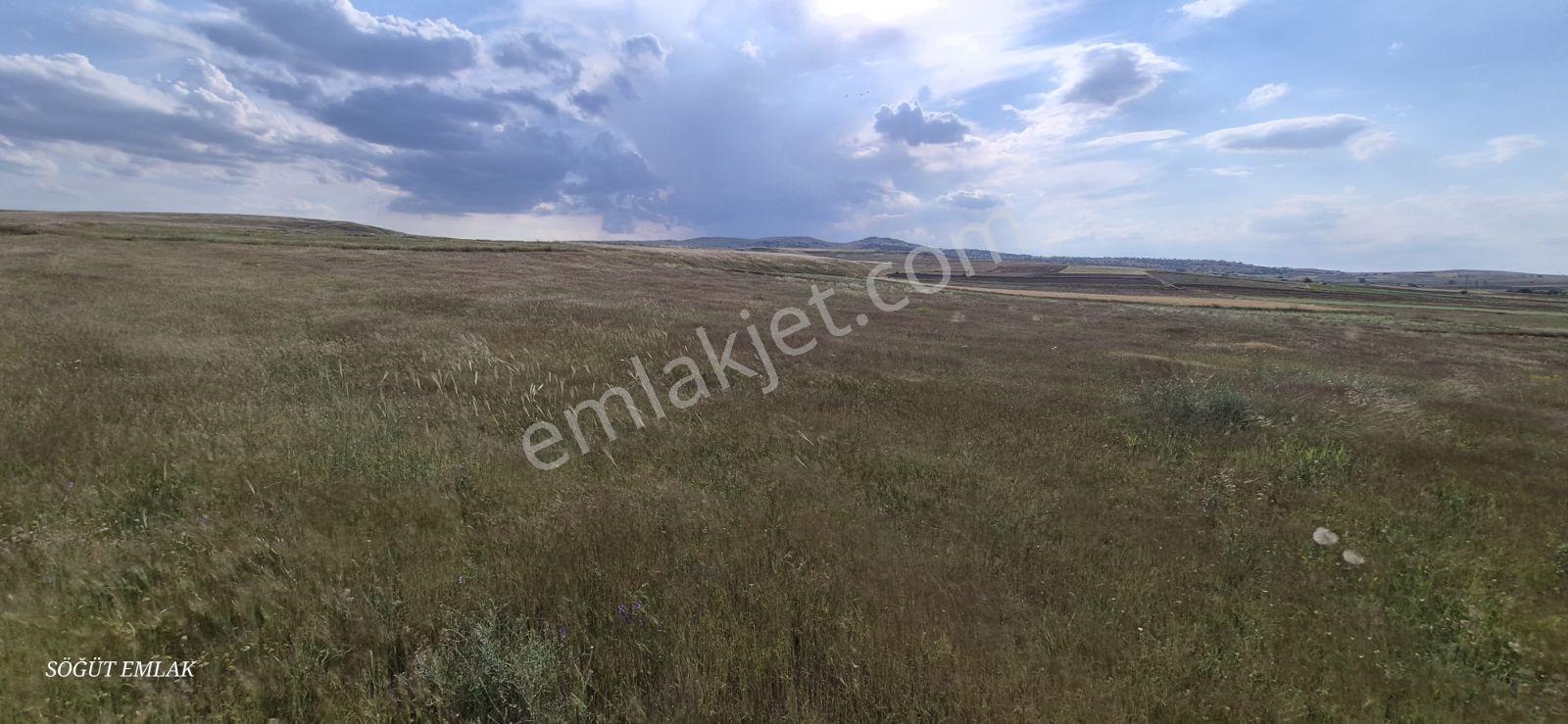 Söğüt Emlak'tan Sanayi İmarlı Arsa - Görsel 5