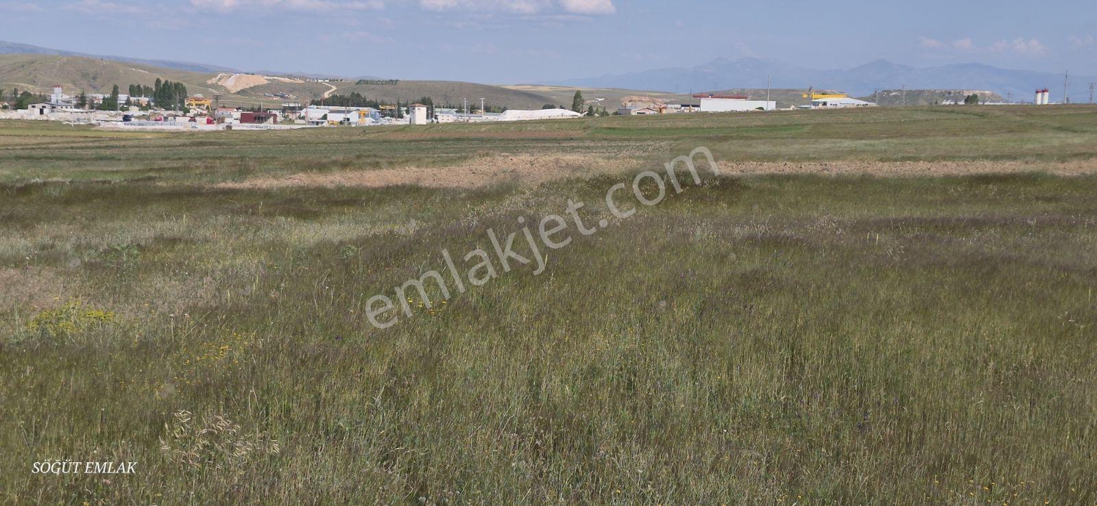 Söğüt Emlak'tan Sanayi İmarlı Arsa - Görsel 10