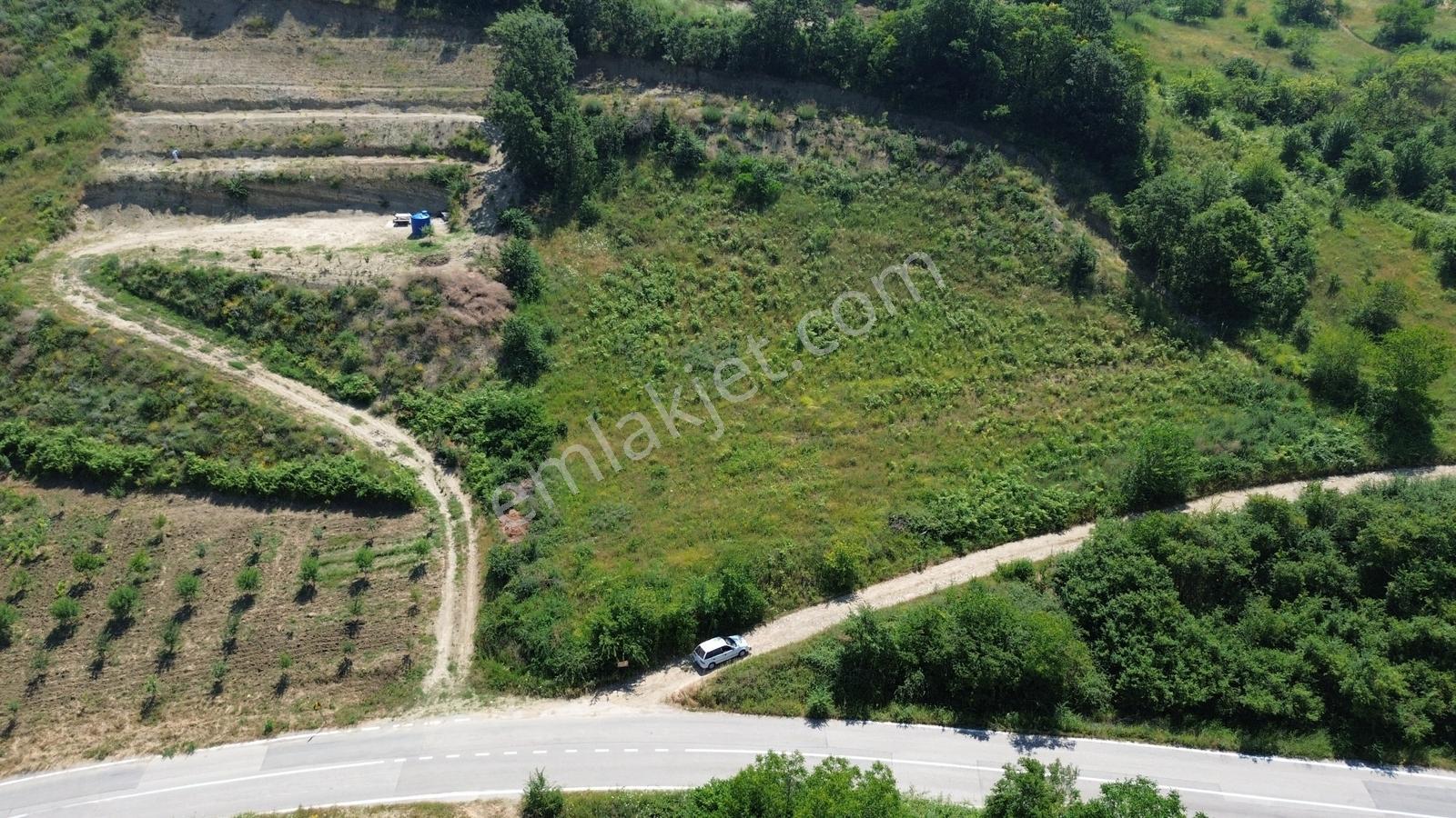 Fırsat Arazisi Ortaköy Asfaltına Cephe Tam 4468m2 Tek Tapu Arazi
