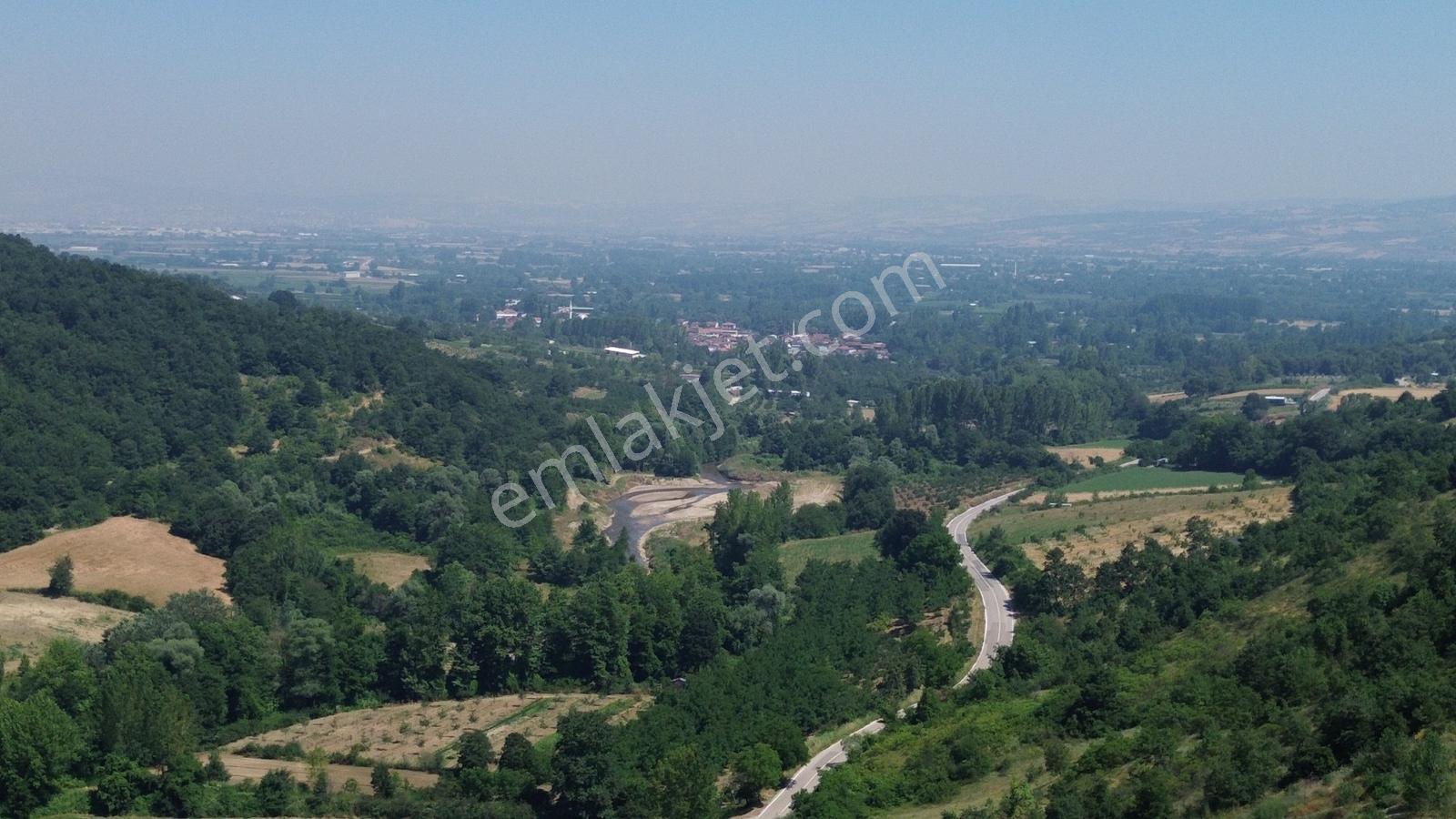 Fırsat Arazisi Ortaköy Asfaltına Cephe Tam 4468m2 Tek Tapu Arazi - Görsel 12