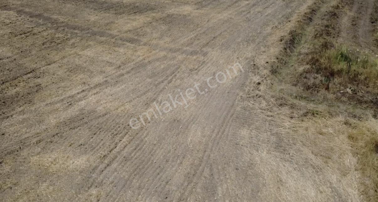 Foça Gerenköy'de Satılık 838 M2 Tarla - Görsel 9