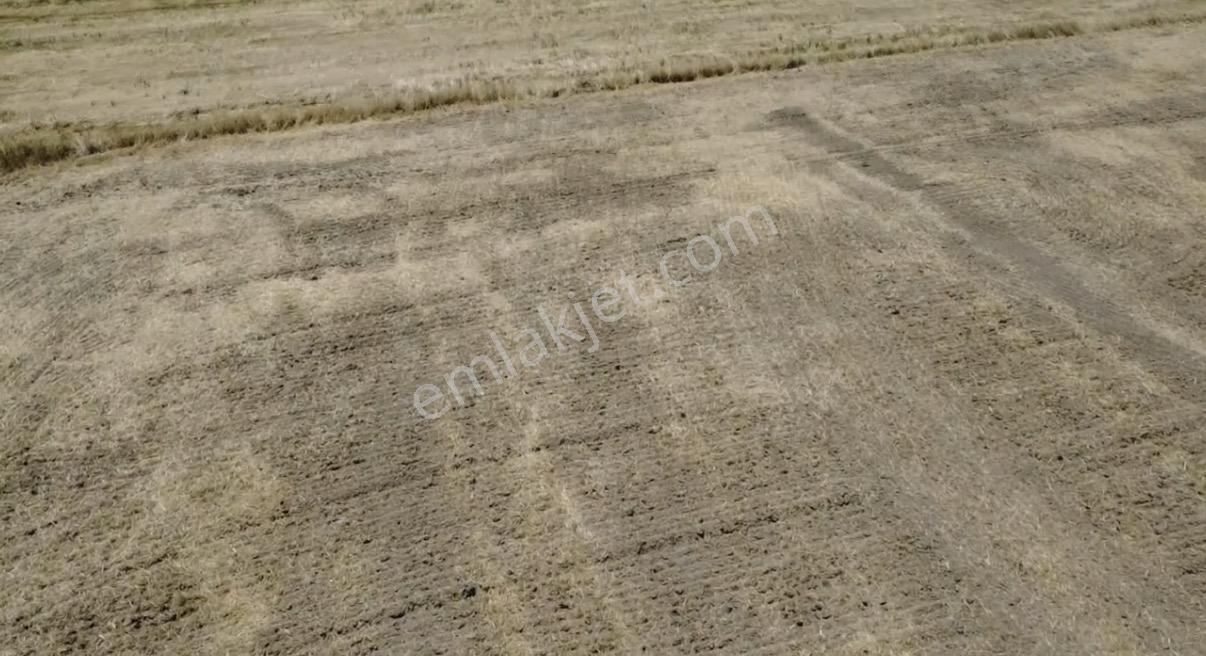 Foça Gerenköy'de Satılık 838 M2 Tarla - Görsel 34