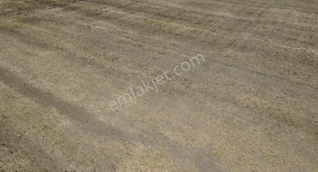 Foça Gerenköy'de Satılık 838 M2 Tarla - Görsel 29