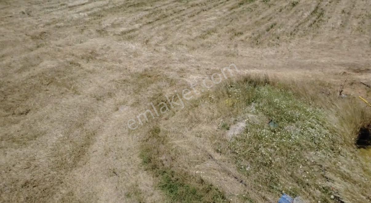 Foça Gerenköy'de Satılık 838 M2 Tarla - Görsel 19