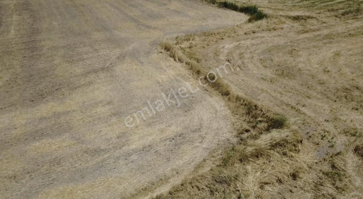 Foça Gerenköy'de Satılık 838 M2 Tarla - Görsel 31