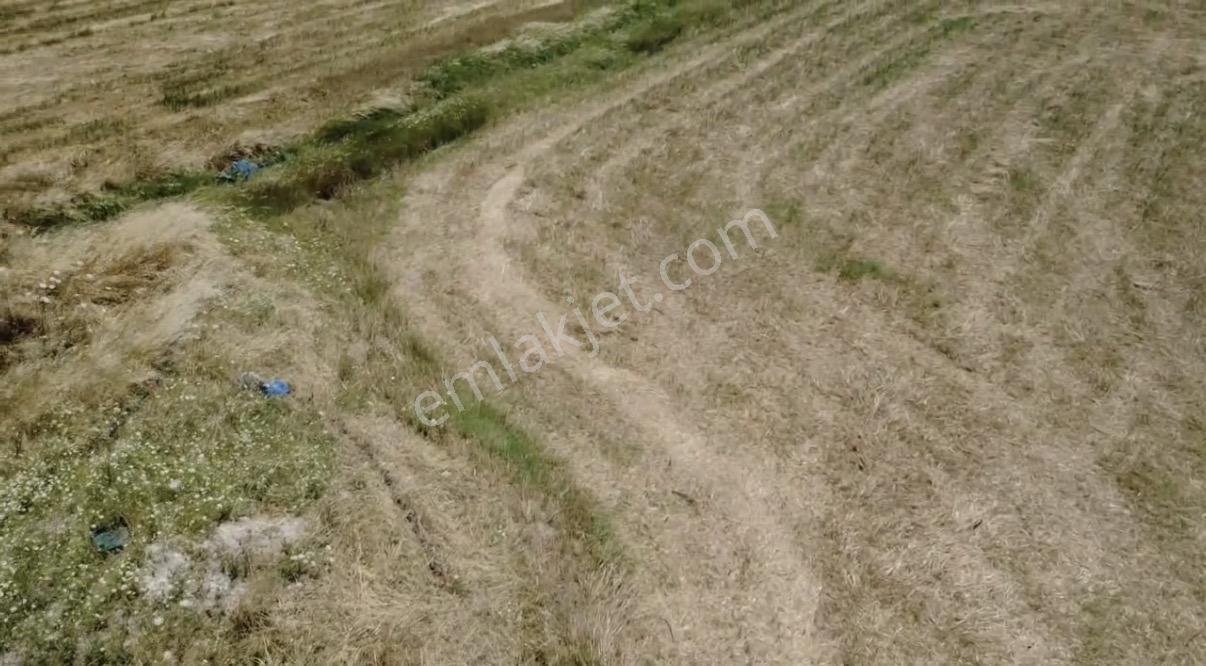 Foça Gerenköy'de Satılık 838 M2 Tarla - Görsel 12