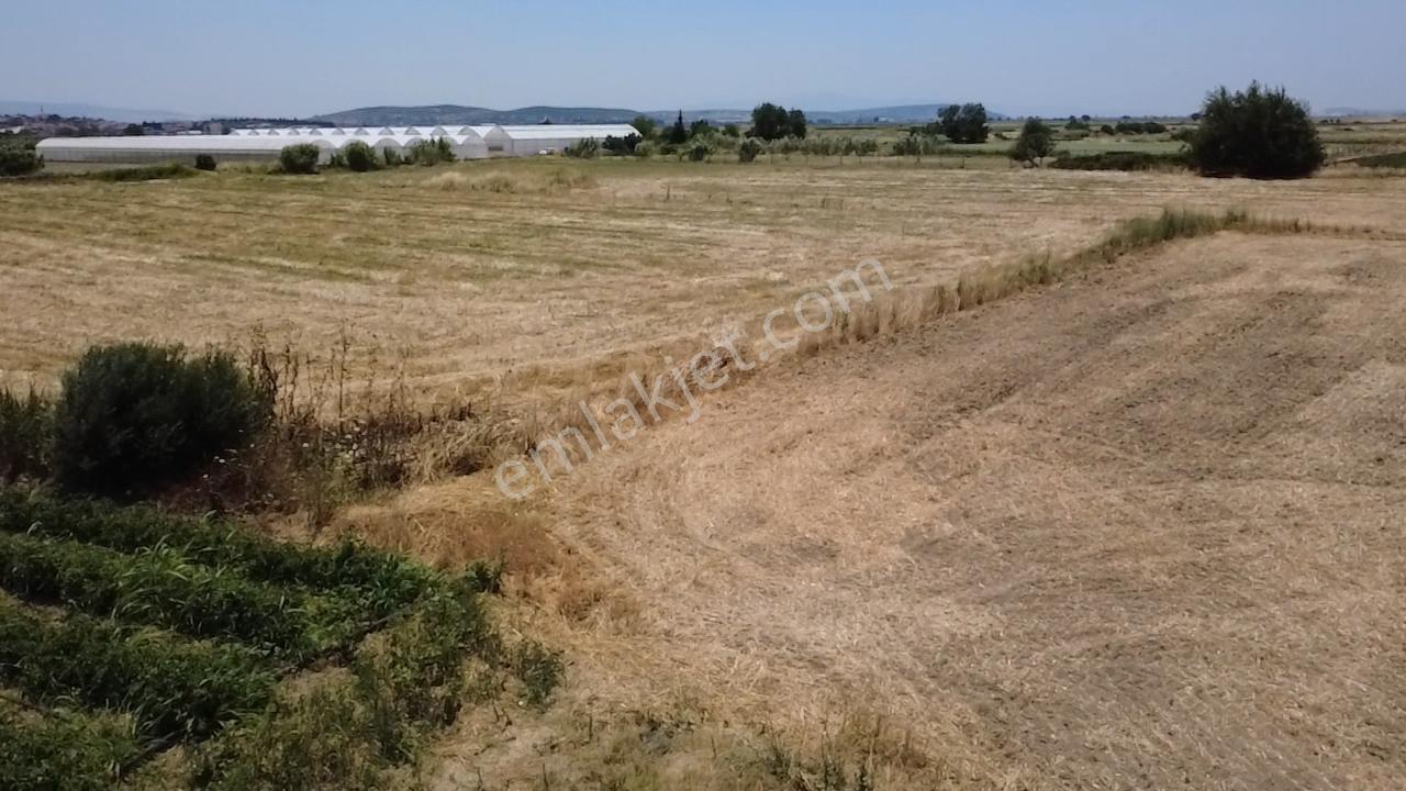 Foça Gerenköy'de Satılık 838 M2 Tarla - Görsel 33
