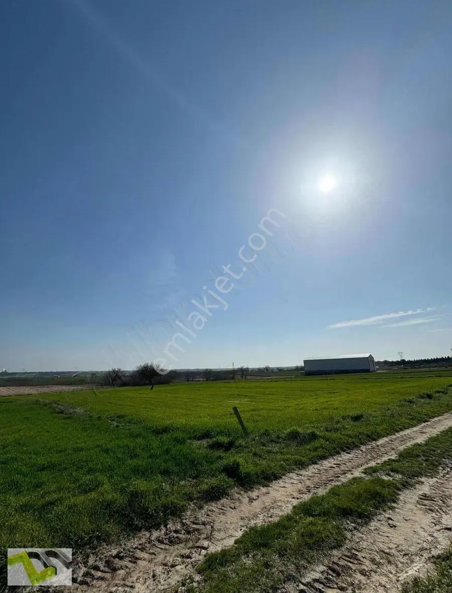 Zeymak Yapı'dan Tekirdağ Ergene De Satılık Tarla - Görsel 5