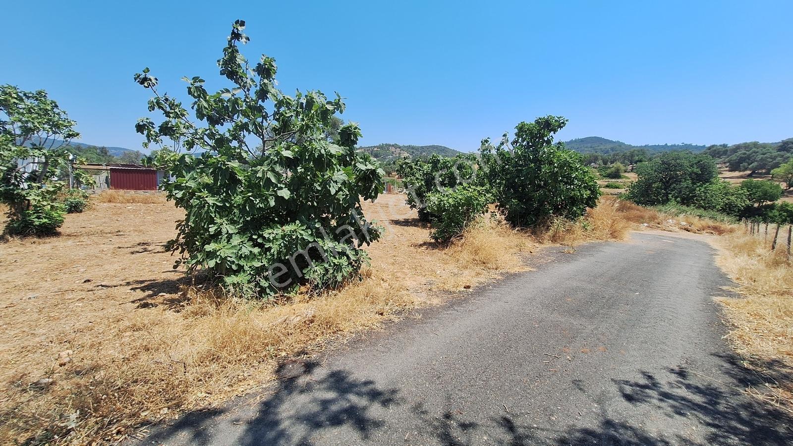 Yalıçiftlik'te Satılık 593 M2 % 40 İmarlı Arsa - Görsel 9
