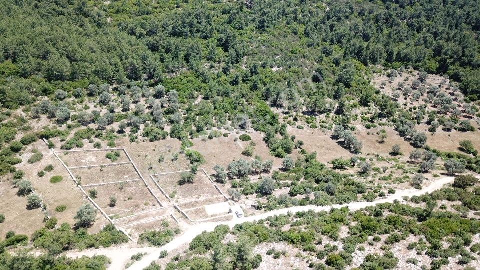 Yalıçiftlik'te Satılık 2.500 M2 Tarla - Görsel 2