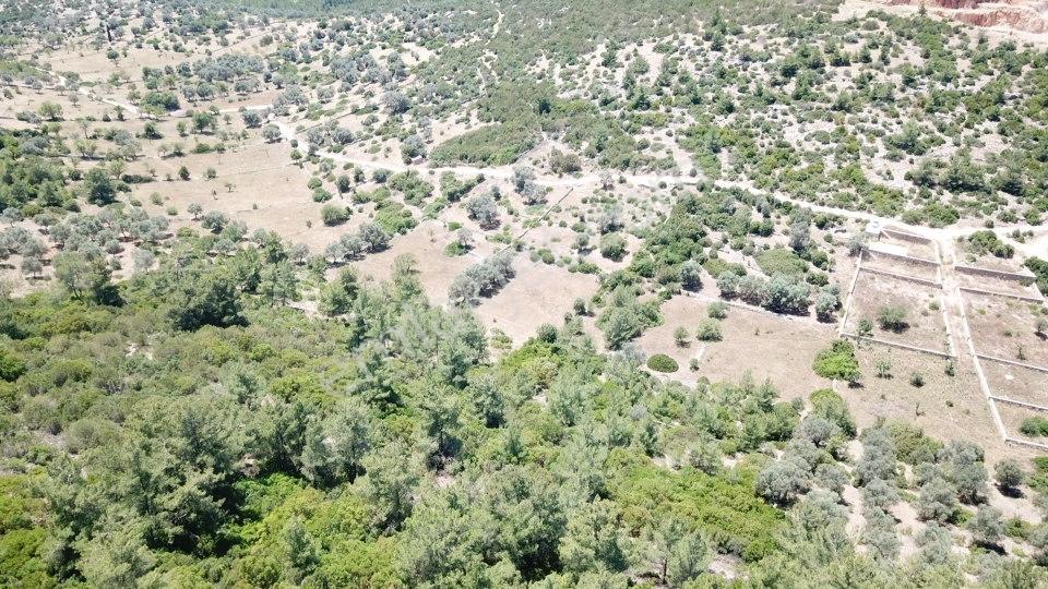 Yalıçiftlik'te Satılık 2.500 M2 Tarla - Görsel 16