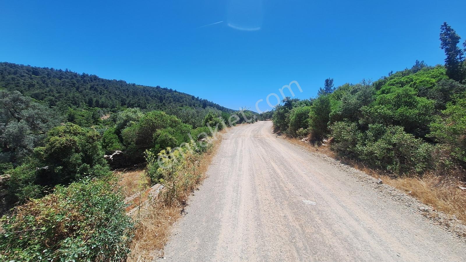 Yalıçiftlik'te Satılık 2.500 M2 Tarla - Görsel 13